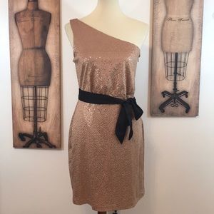 Taupe MaxandCleo One Shoulder Dress (Rose Goldish)